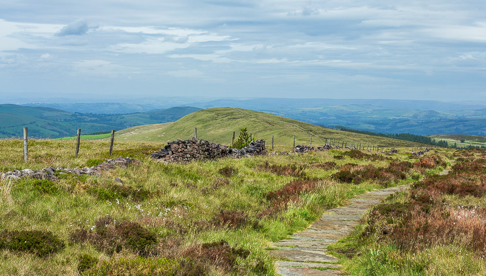 The Tors The Tors